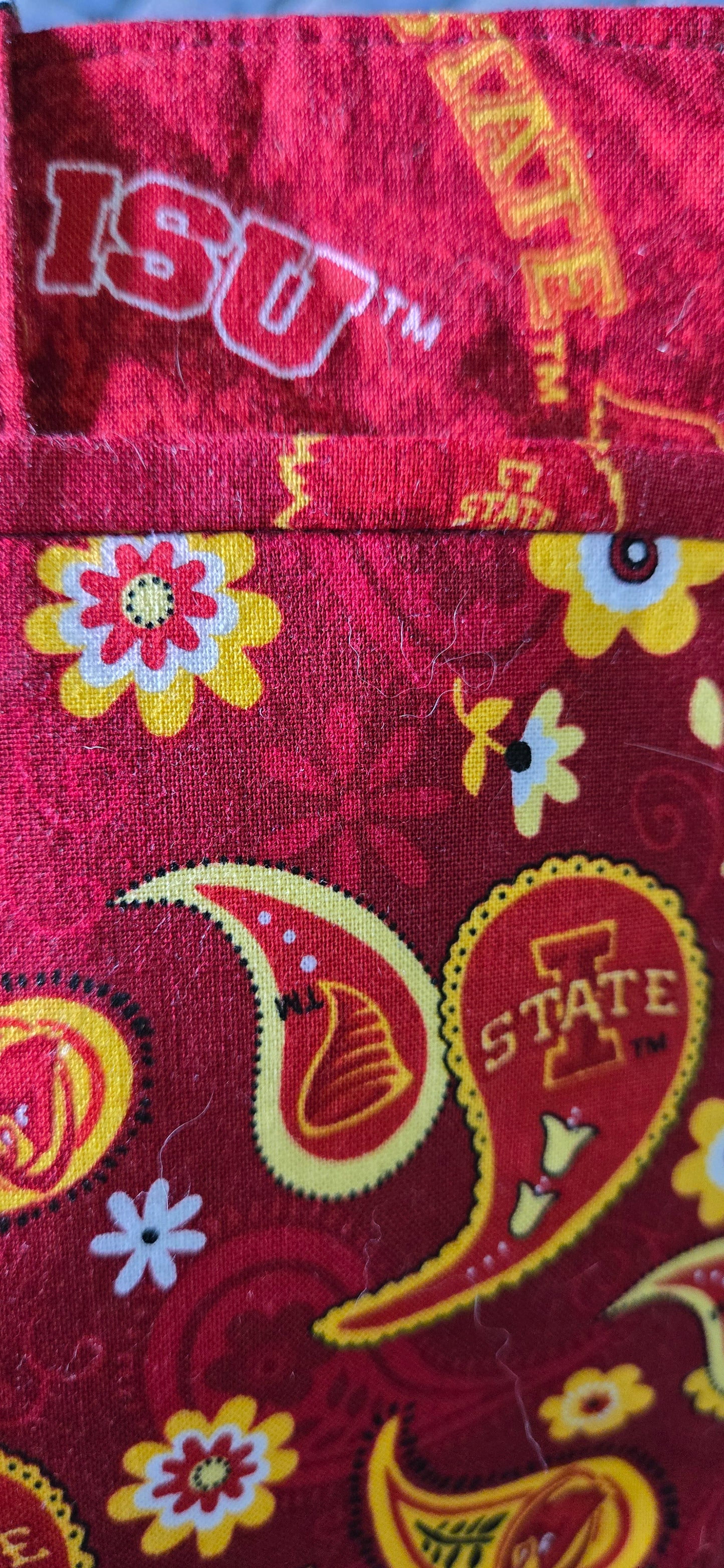 Cyclone Paisley