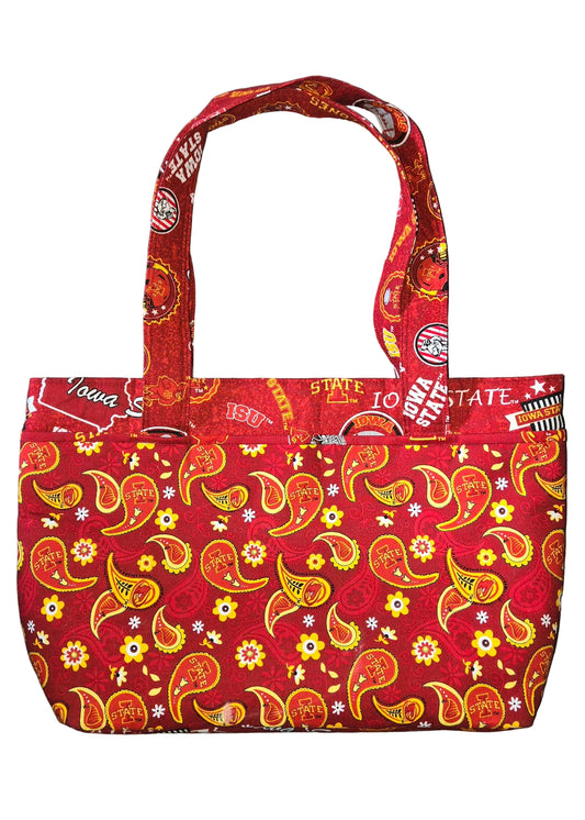 Cyclone Paisley